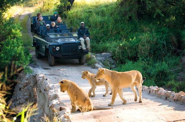 Kruger Park Lodge 401 헤이지뷰 외부 사진